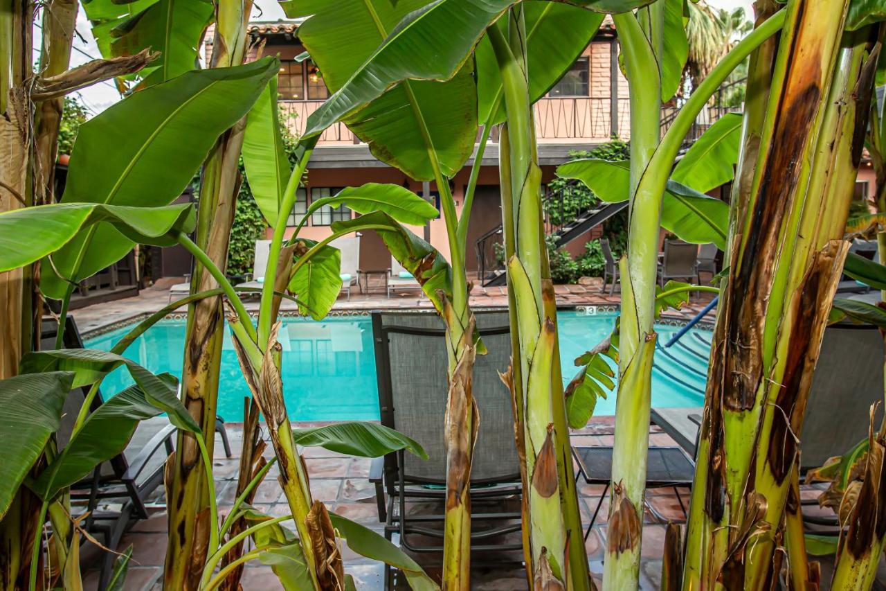 Hotel California Palm Springs Luaran gambar