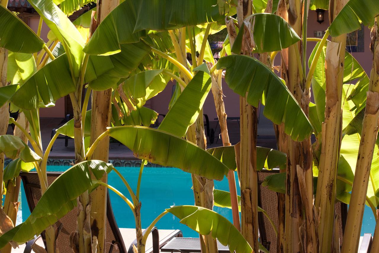 Hotel California Palm Springs Luaran gambar